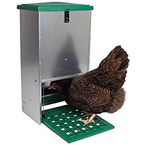 Hühner kaufen Hühnerhaltung Futterautomat