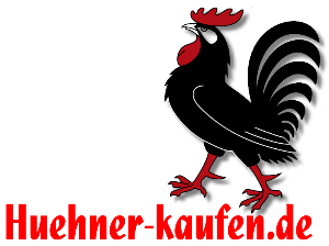Lüftung hühnerstall - Die TOP Favoriten unter den verglichenenLüftung hühnerstall!